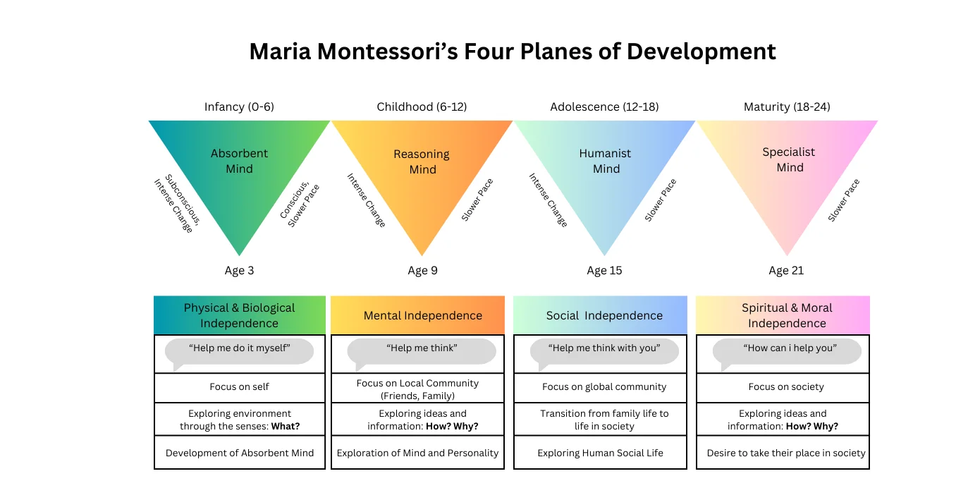 Maria Montessori’s Four Planes of Development