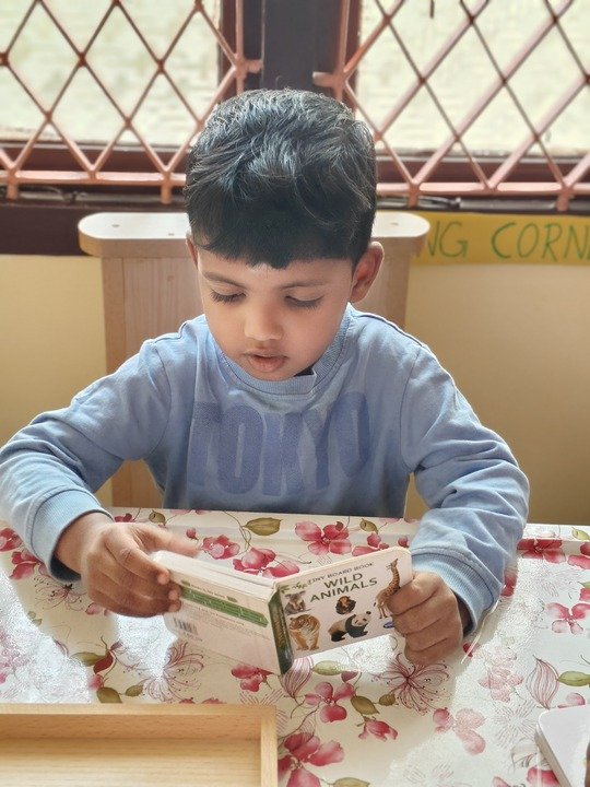 Pink Tower Activity