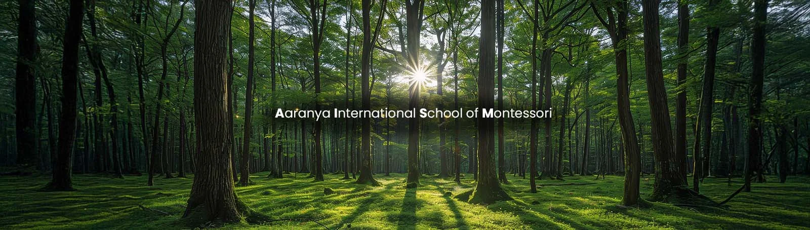 Aaranya International School of Montessori