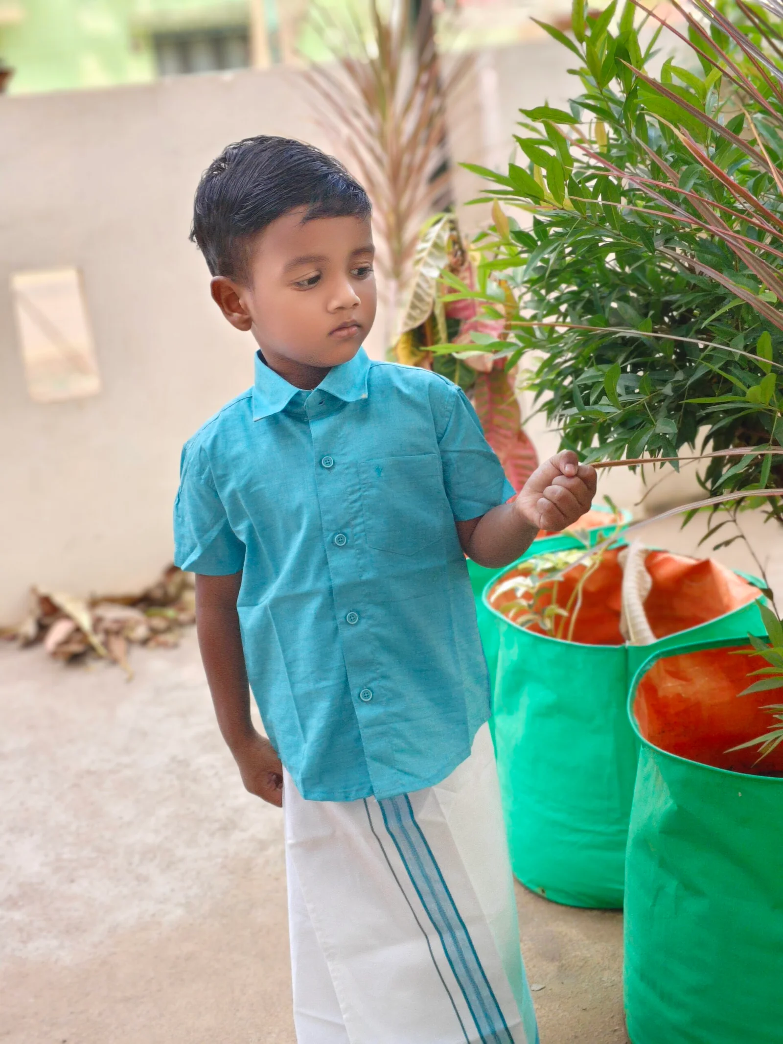 Cultural Studies Curriculum